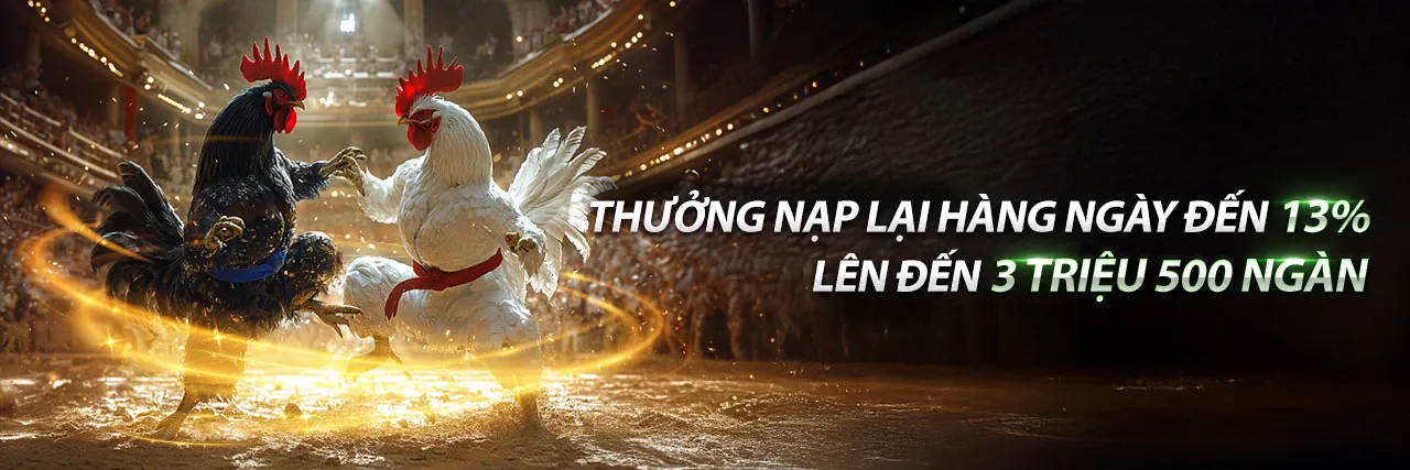 Đá Gà Trực Tiếp Daga888